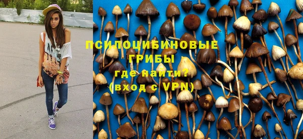 хмурый Балабаново