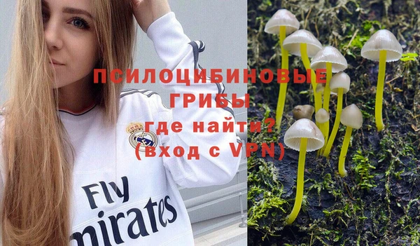 мескалин Балахна